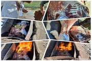 میاندواب :   کشف و معدوم سازی سه لاشه گوسفندی حاصل کشتار غیر مجاز 